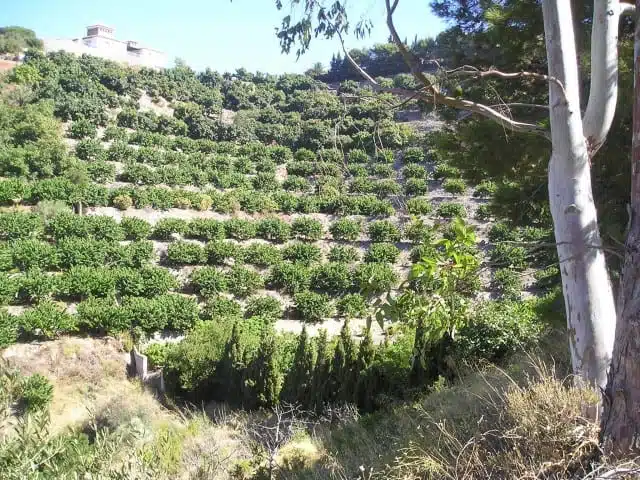 Resale Grondstuk Te koop in Almuñécar in Spanje, gelegen aan de Costa Tropical