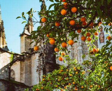 Sinaasappels leveren elektriciteit in Sevilla