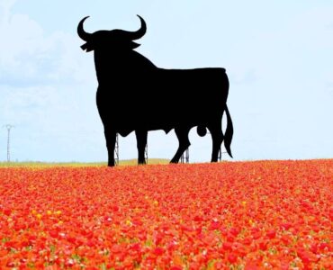 Het boegbeeld van Spanje de zwarte Osborne stier is 65 jaar oud geworden