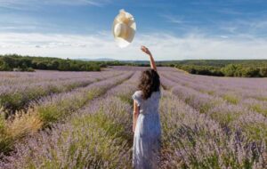 De Spaanse lavendelvelden staan weer volop in bloei