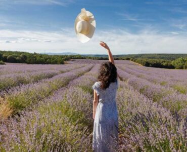 De Spaanse lavendelvelden staan weer volop in bloei