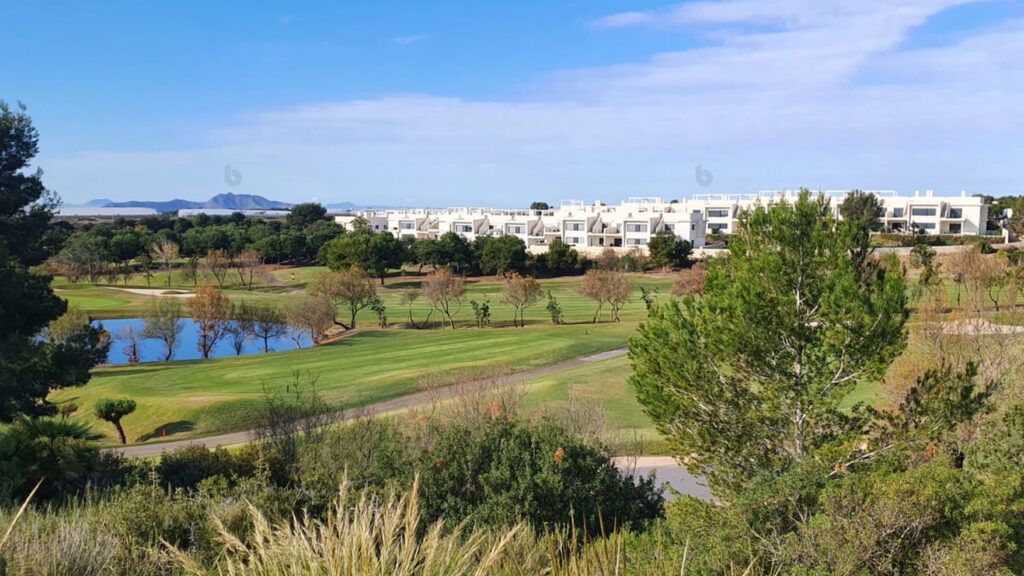 Nieuwbouw Villa Te koop in Pilar De La Horadada in Spanje, gelegen aan de Costa Blanca-Zuid