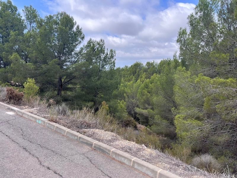 Bouwgrond Te koop in Altea in Spanje, gelegen aan de Costa Blanca-Noord