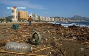 Strand nabij Malaga bezaaid met rietstengels