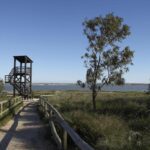 Nieuwbouw Project in San Miguel De Salinas in Spanje, gelegen aan de Costa Blanca-Zuid