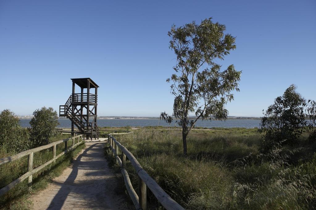 Nieuwbouw Project in San Miguel De Salinas in Spanje, gelegen aan de Costa Blanca-Zuid