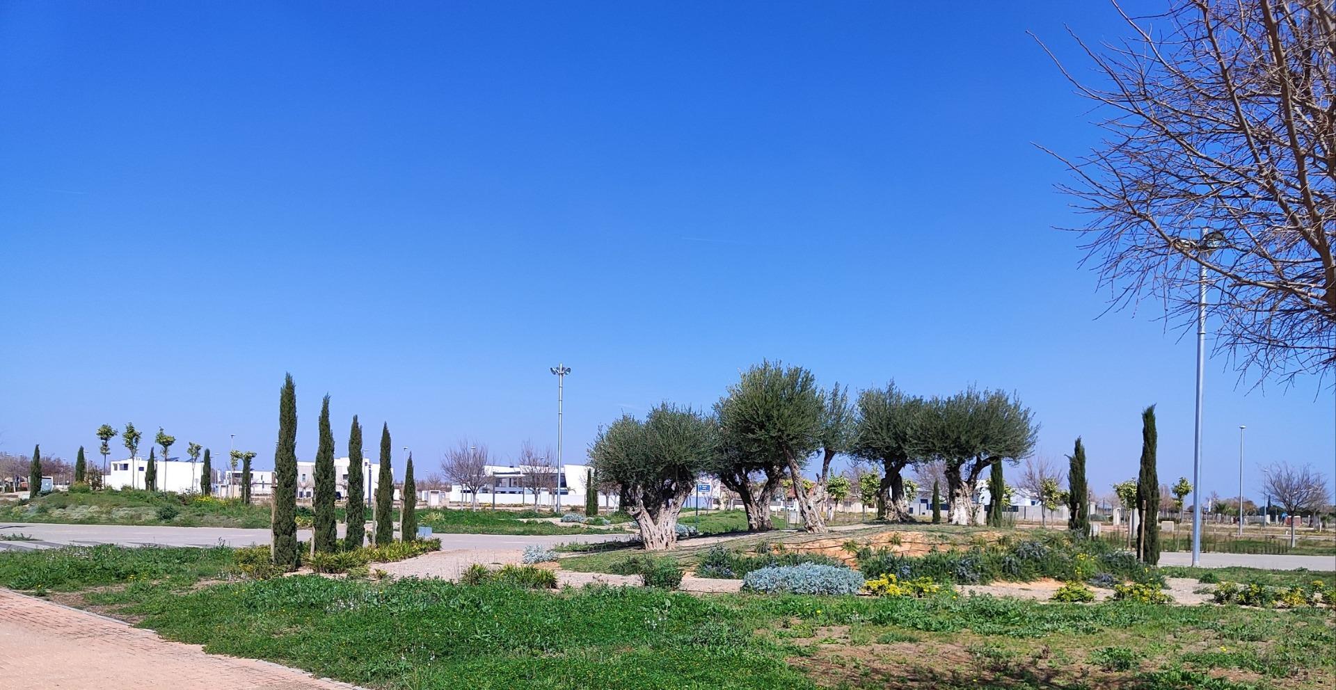Nieuwbouw Appartement Te koop in Torre-Pacheco in Spanje, gelegen aan de Costa Cálida