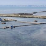 Nieuwbouw Project in San Pedro Del Pinatar in Spanje, gelegen aan de Costa Cálida