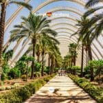 Wandelpad tussen groen in Valencia