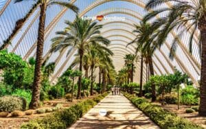 Wandelpad tussen groen in Valencia