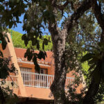 Appartement Te koop in Estepona in Spanje, gelegen aan de Costa del Sol-West