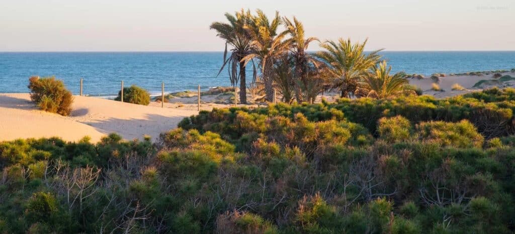 Nieuwbouw Appartement Te koop in Guardamar Del Segura in Spanje, gelegen aan de Costa Blanca-Zuid