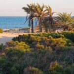 Nieuwbouw Appartement Te koop in Guardamar Del Segura in Spanje, gelegen aan de Costa Blanca-Zuid