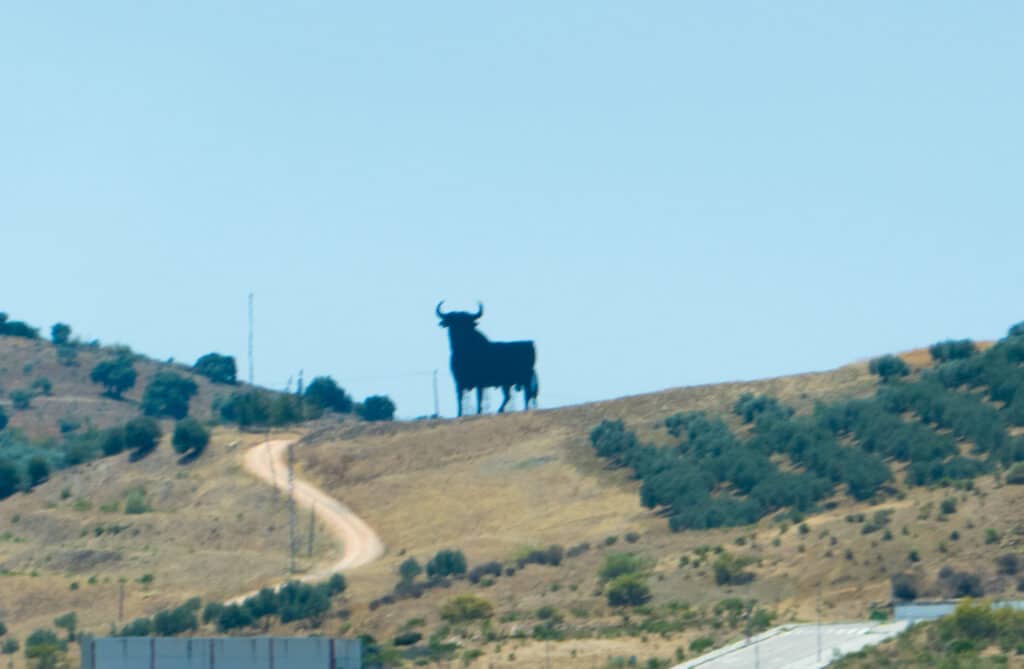 Osborne stier op een heuvel in Spanje