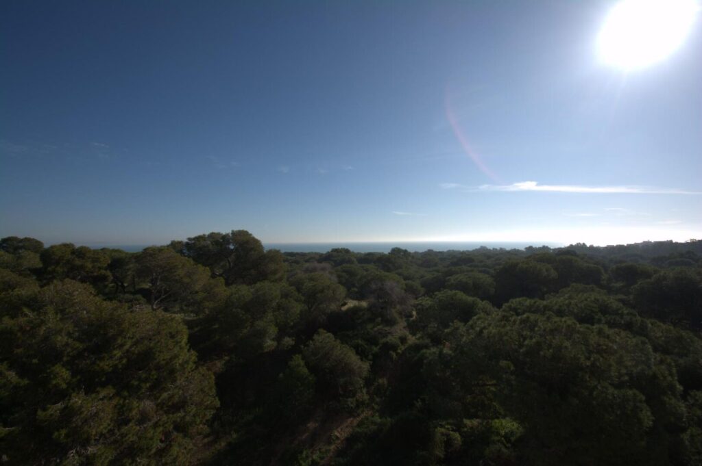 Nieuwbouw Project in Guardamar Del Segura in Spanje, gelegen aan de Costa Blanca-Zuid