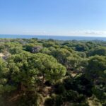 Nieuwbouw Appartement Te koop in Guardamar Del Segura in Spanje, gelegen aan de Costa Blanca-Zuid
