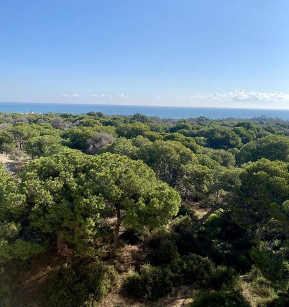 Nieuwbouw Appartement Te koop in Guardamar Del Segura in Spanje, gelegen aan de Costa Blanca-Zuid