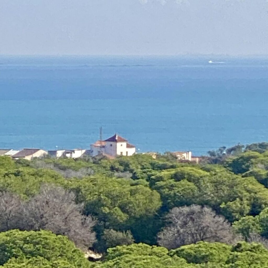 Nieuwbouw Appartement Te koop in Guardamar Del Segura in Spanje, gelegen aan de Costa Blanca-Zuid