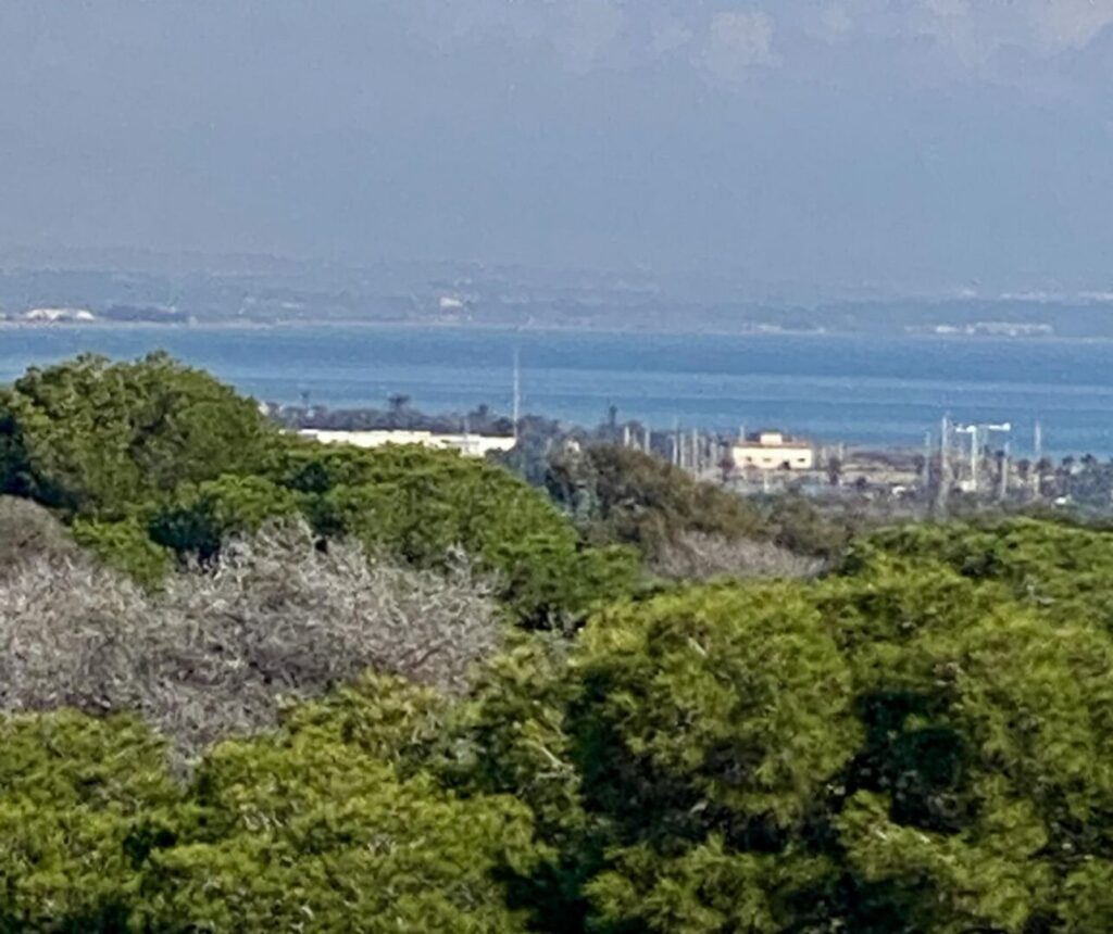 Nieuwbouw Appartement Te koop in Guardamar Del Segura in Spanje, gelegen aan de Costa Blanca-Zuid