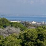 Nieuwbouw Appartement Te koop in Guardamar Del Segura in Spanje, gelegen aan de Costa Blanca-Zuid